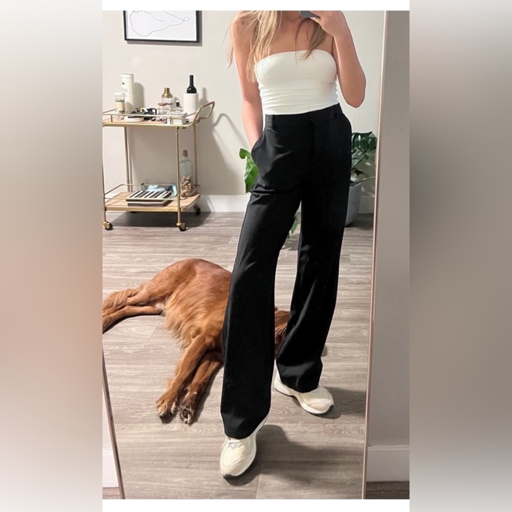 Aritzia Babaton Agency Mirror High-Waist Wide-Leg Pant Trouser Sz 10